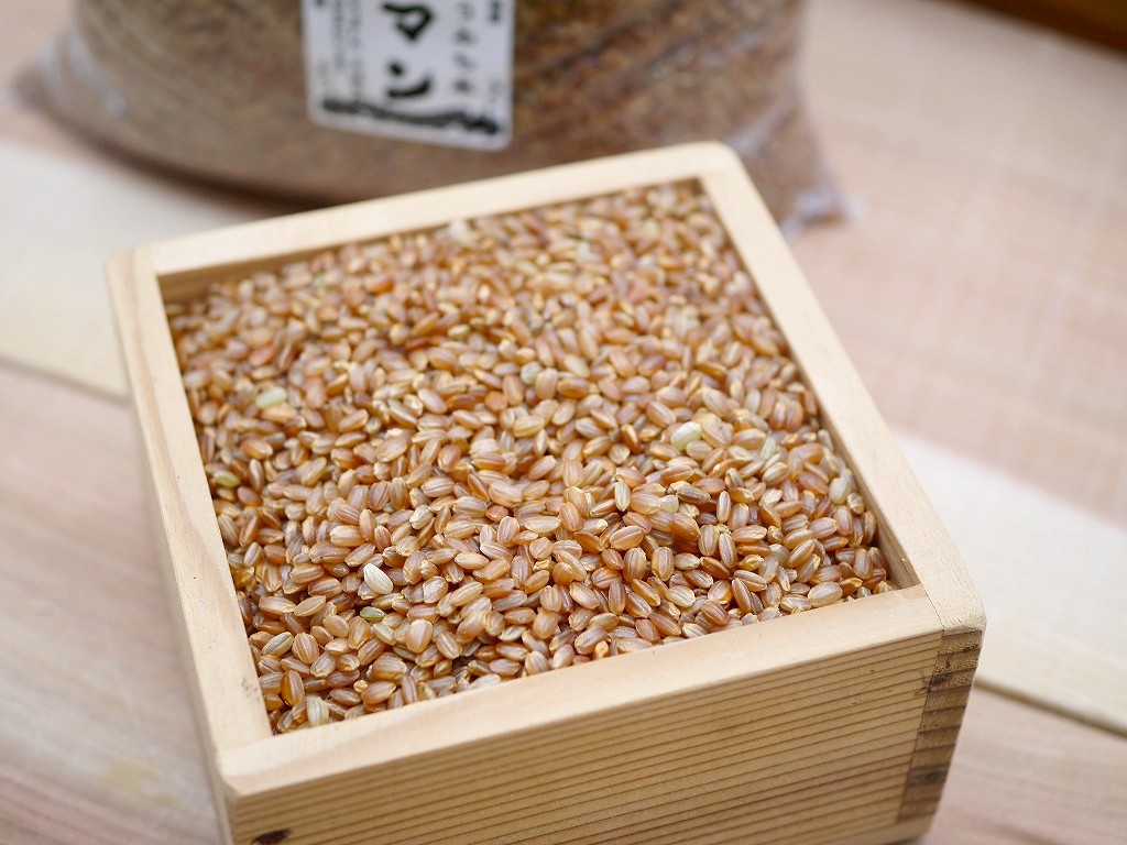 古代米 無農薬 有機肥料 赤米うるち米 紅ロマン（800g）送料無料