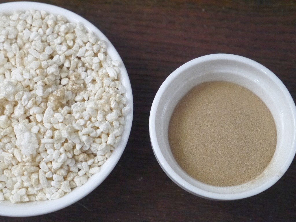 麹菌 種麹 白こうじ菌 クエン酸（5g×3入）プラスプーン付 kc