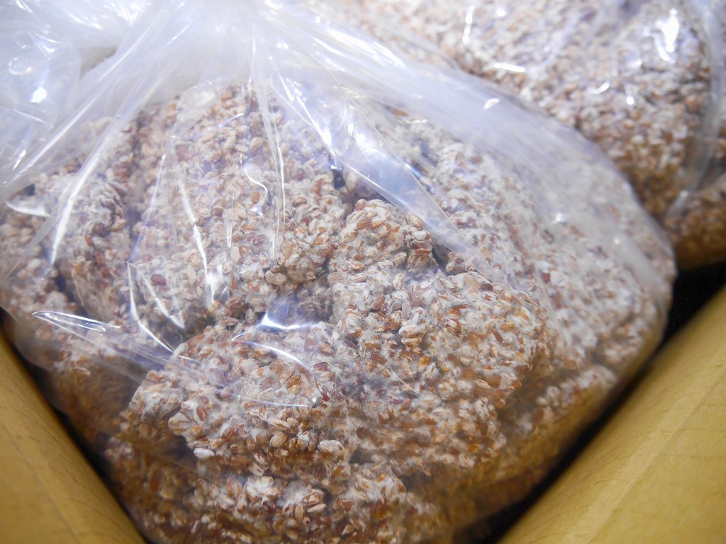 無農薬 有機肥料 赤米麹 生麹(5kg×2個)
