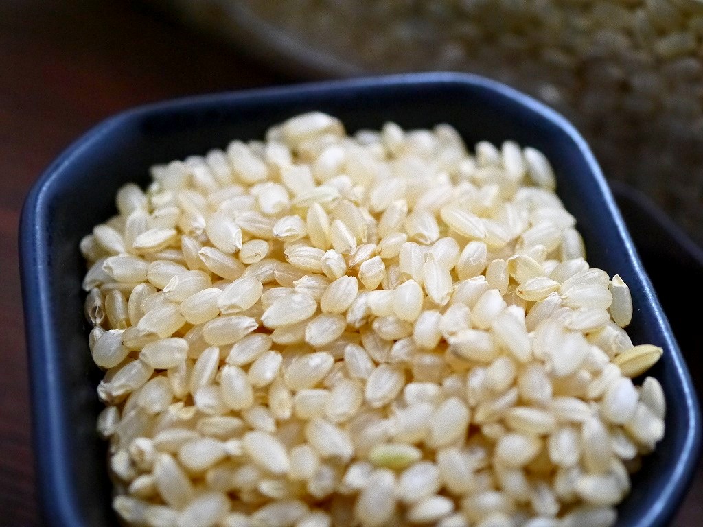無農薬 有機肥料 令和4年産 コシヒカリ 玄米（30kg）