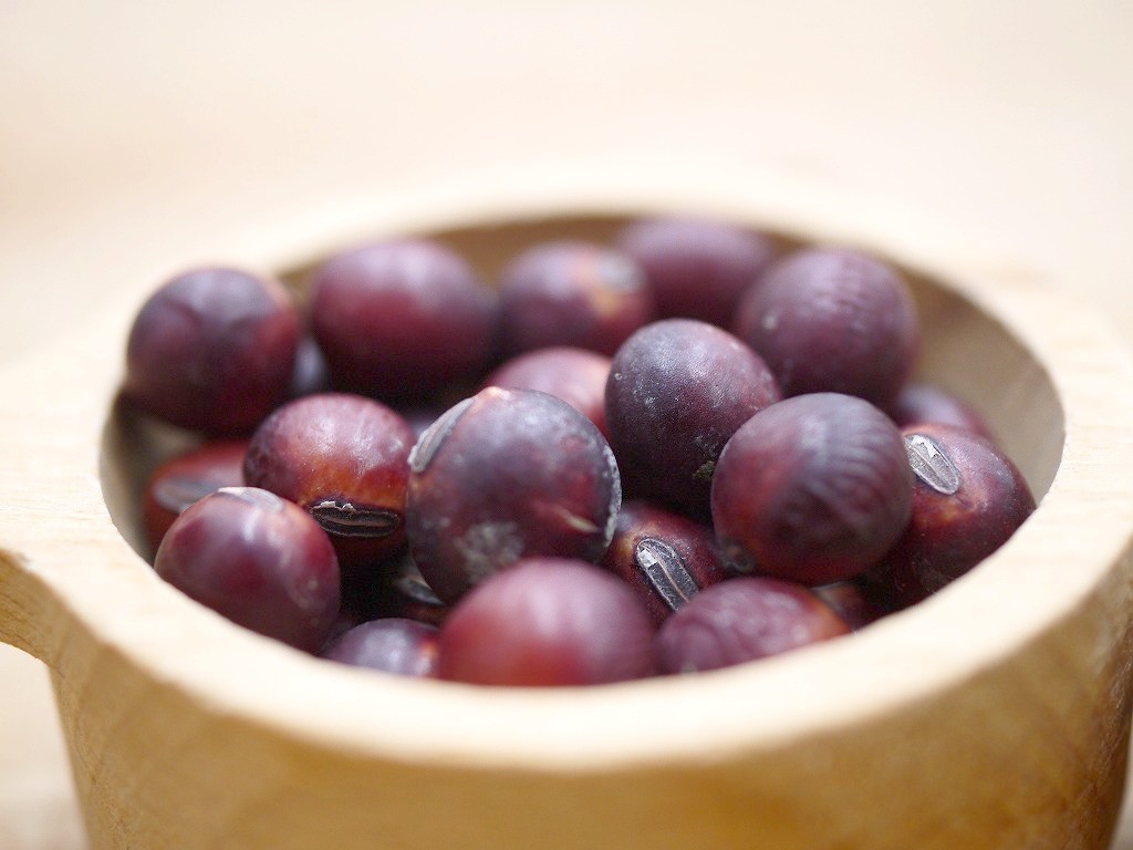 紅大豆 大粒（1kg）