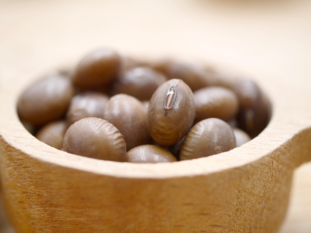 茶豆 大粒（5kg）茶大豆