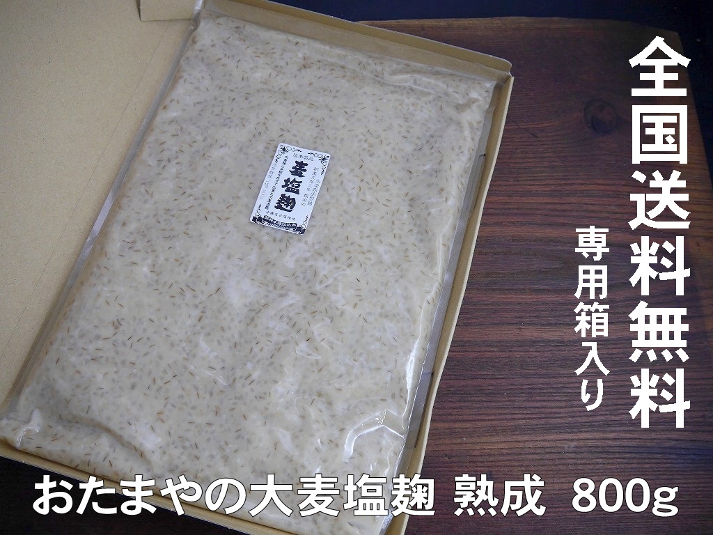 大麦塩麹（800g）送料無料 同梱不可 お試し ネコポス