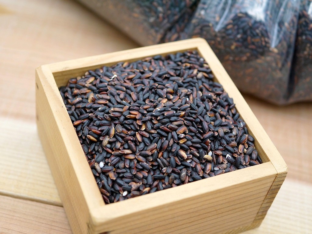 古代米 黒米もち米 黒あかり(800g)送料無料