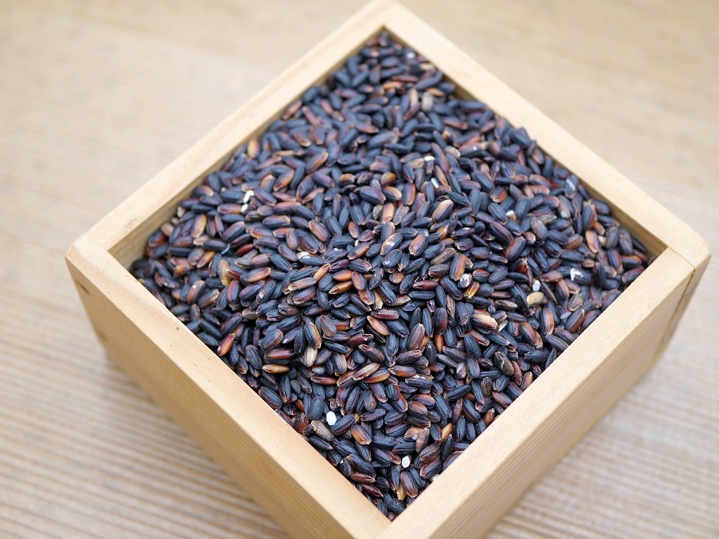 古代米 無農薬 有機肥料 黒米もち米 黒あかり（30kg）