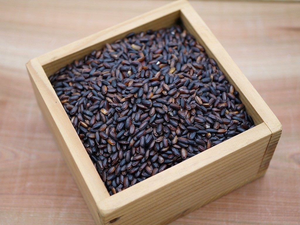 古代米 無農薬 有機肥料 黒米うるち米 奥の紫（30kg）