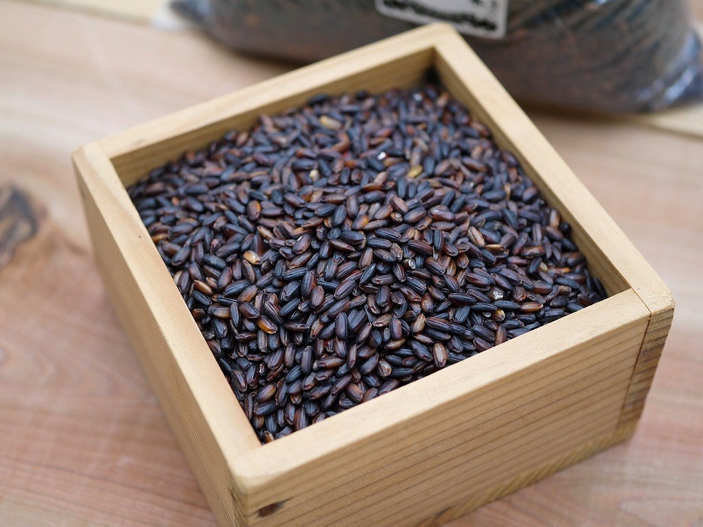古代米 無農薬 有機肥料 黒米うるち米 奥の紫（5kg）