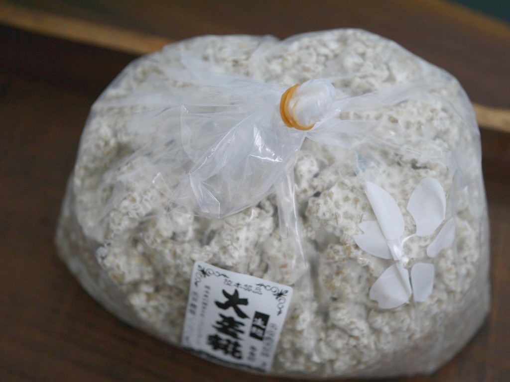 大麦麹 生麹(5kg)