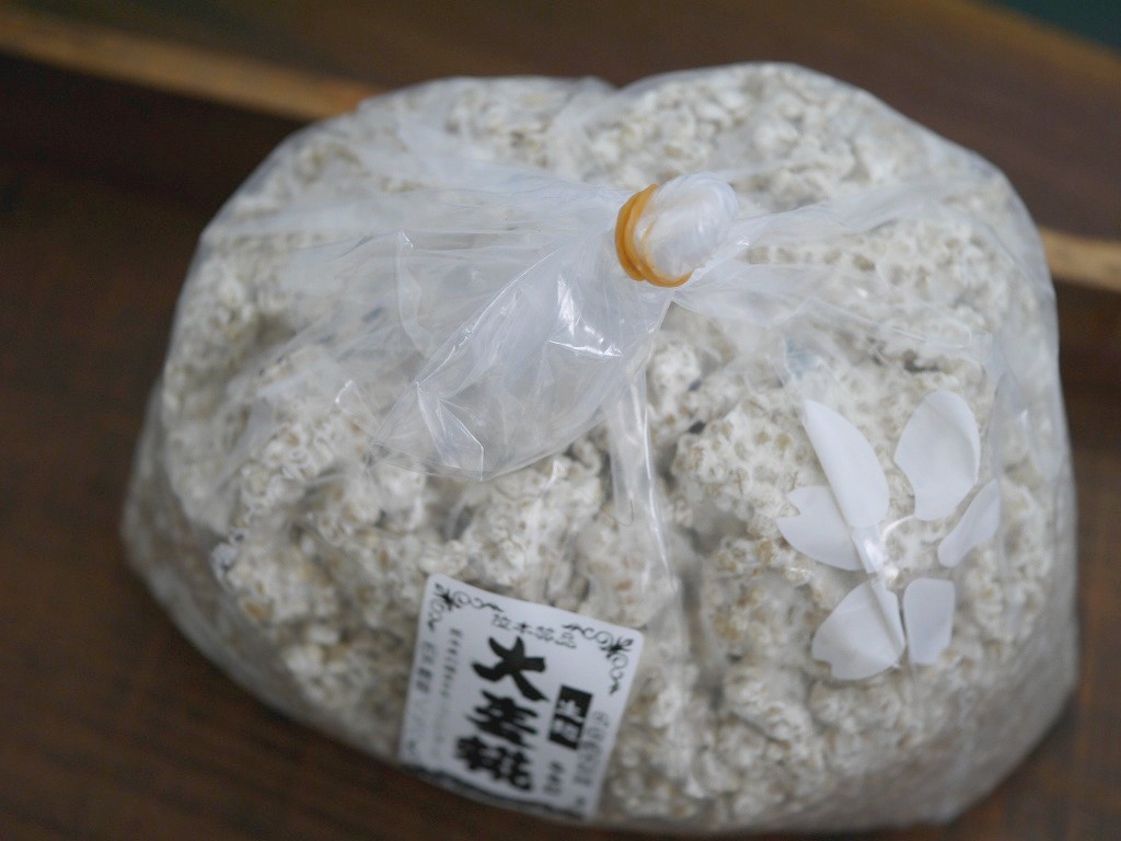 大麦麹 生麹（5kg）