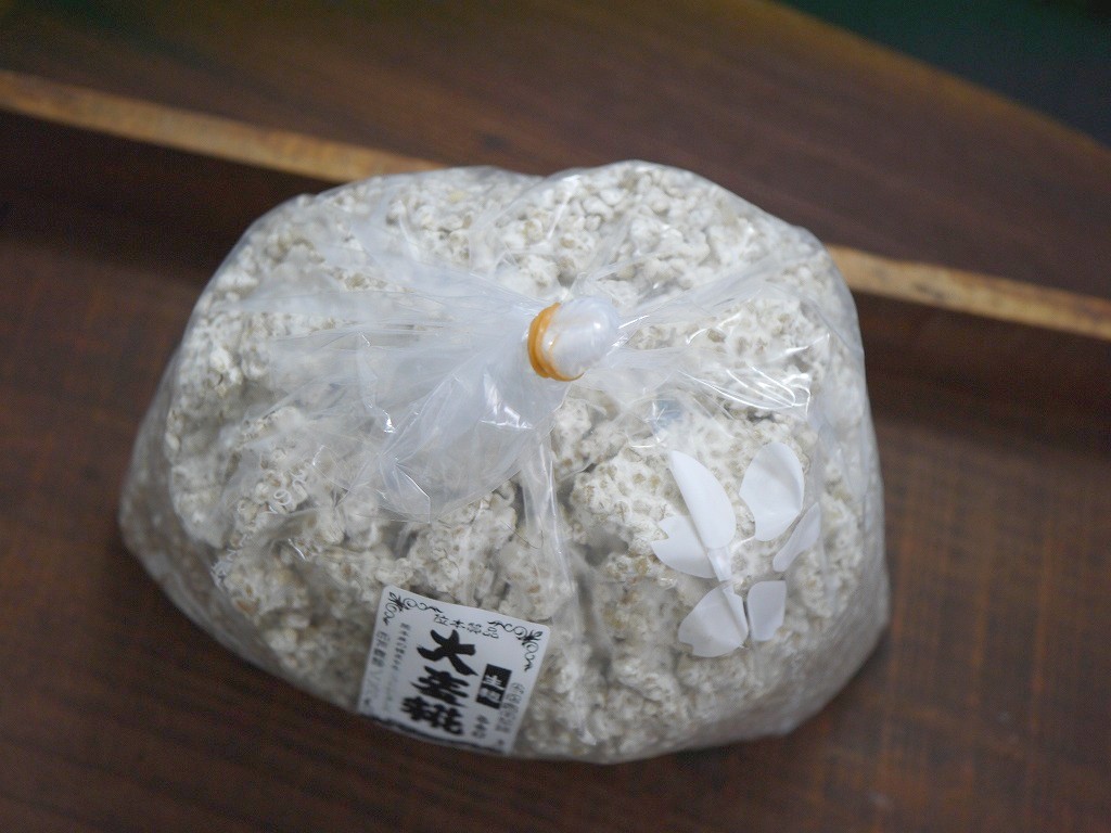 大麦麹 生麹（1kg）