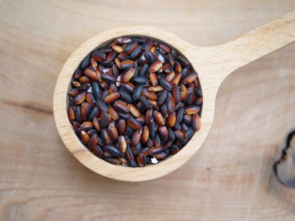 古代米 朝紫 黒米もち米（30kg）