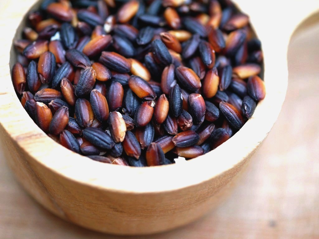 古代米 朝紫 黒米もち米（30kg）