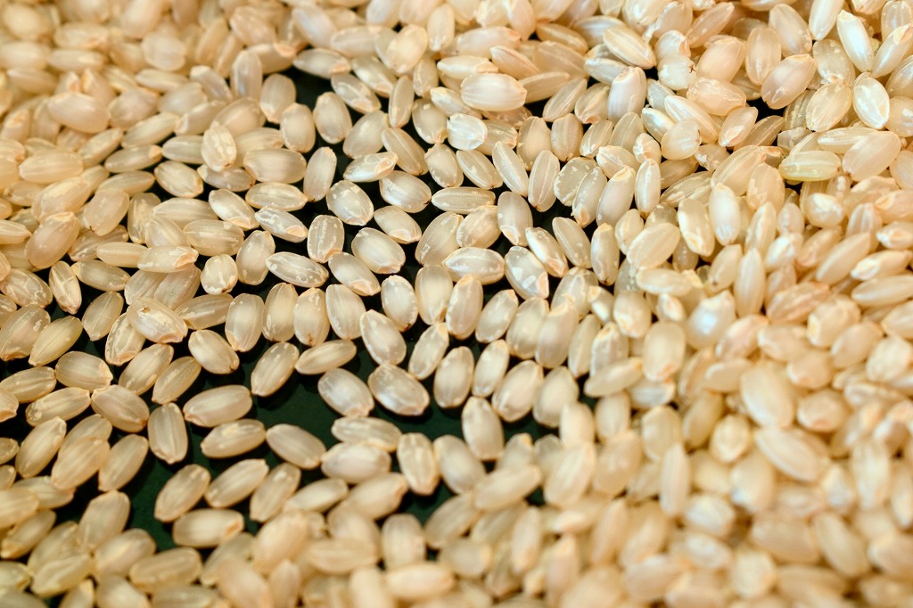 山田錦 米麹粉末(1kg)