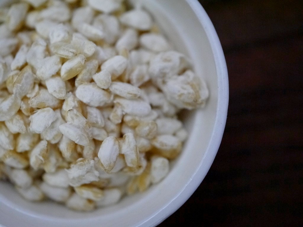 無農薬 有機肥料 乾燥玄米麹 乾燥麹（130g）