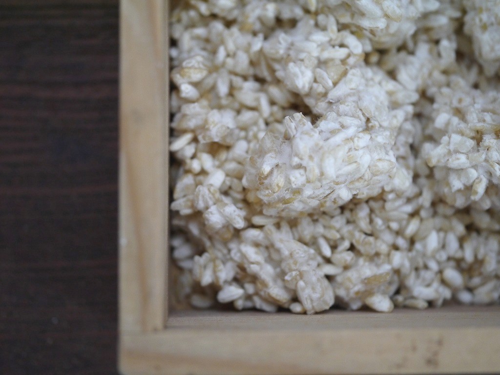 手作り味噌セット 玄米麹（8kg量）置くだけMJ2 発酵袋2枚付き