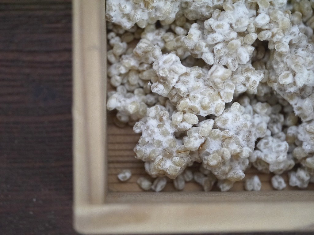 大麦麹粉末 蓋製麹(300g)