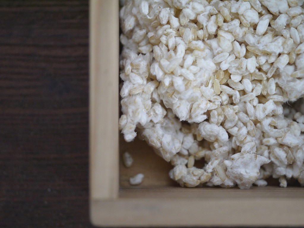手作り味噌セット 玄米麹（28kg量）置くだけMJ3 発酵袋4枚付き