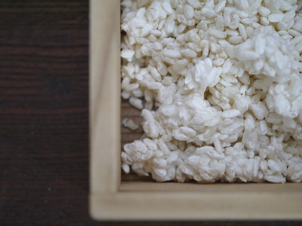 無農薬 有機肥料 米麹 生麹（1kg）