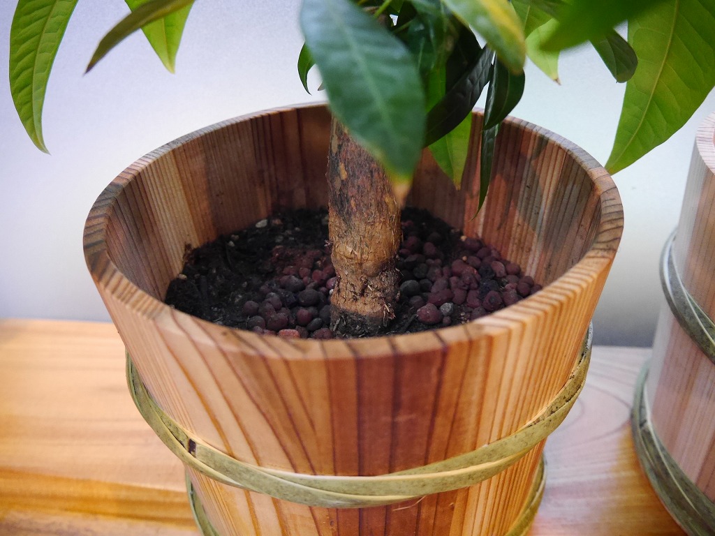 【訳あり】昭和本樽 杉桶 No.30 漏れあり 観葉植物の植木鉢に（30L用）