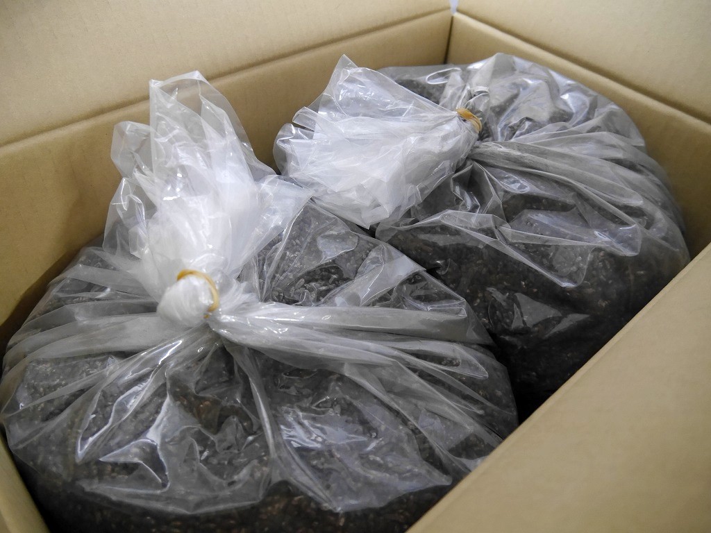 無農薬 有機肥料 黒麹 生麹 クロ黒麹（5kg×2個）