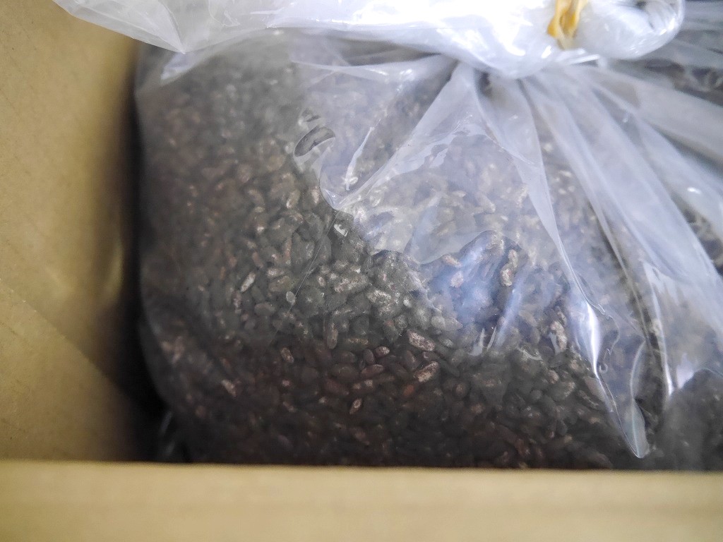 無農薬 有機肥料 黒麹 生麹 クロ黒麹(5kg×2個)