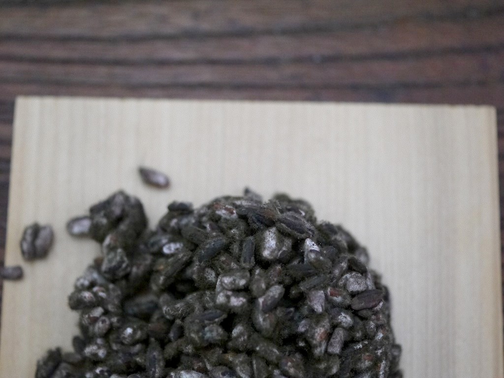 無農薬 有機肥料 黒麹 生麹 クロ黒麹(1kg)