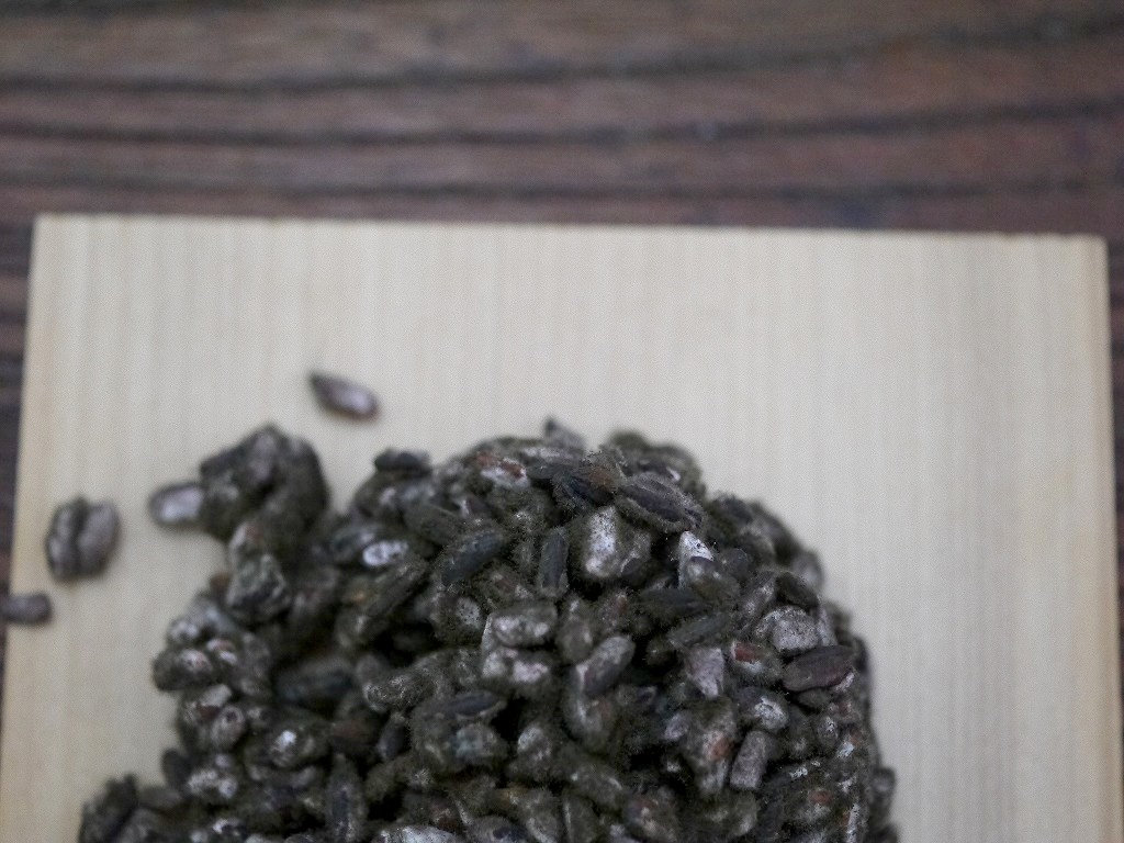 無農薬 有機肥料 黒麹 生麹 クロ黒麹（1kg）