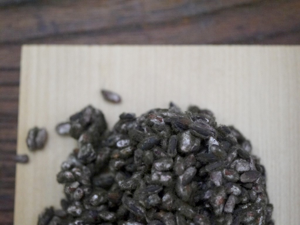 無農薬 有機肥料 黒麹 生麹 クロ黒麹(5kg×2個)
