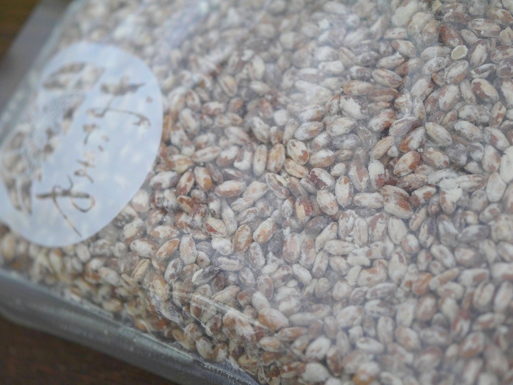 無農薬 有機肥料 乾燥赤米麹 乾燥麹(600g)