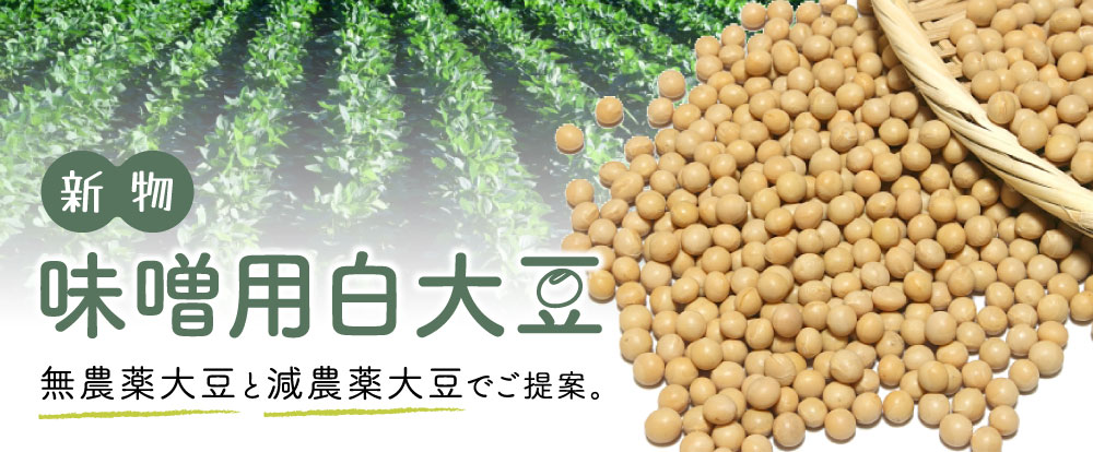 R7年新物 味噌用大豆が入荷しました！