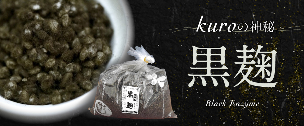 黒い神秘 黒麹