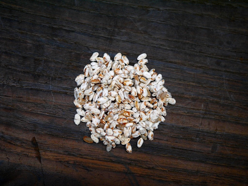 手作り味噌セット 赤米麹 無農薬材料（8kg量）置くだけMJ2 発酵袋2枚付き