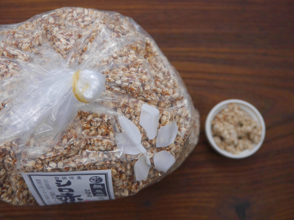 無農薬 有機肥料 白赤麹 生麹 シロアカ(1kg)サンプルLab