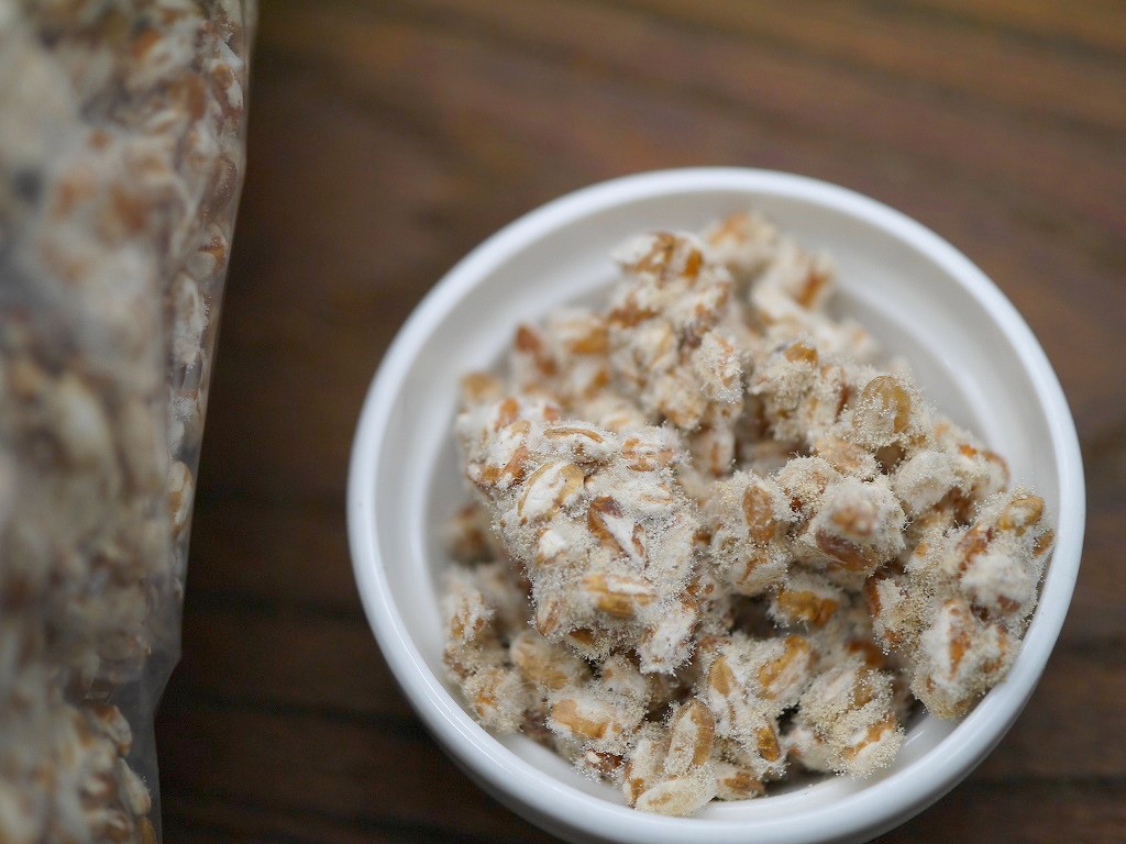 無農薬 有機肥料 白赤麹 生麹 シロアカ(1kg)サンプルLab
