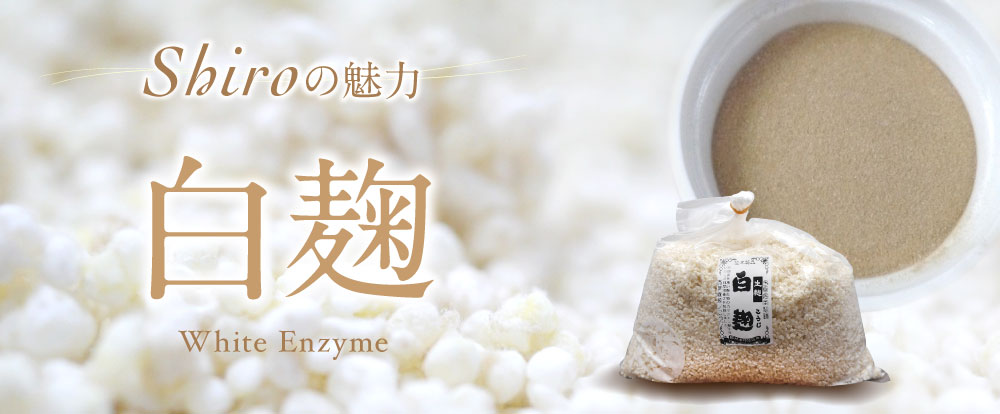 白の魅力 