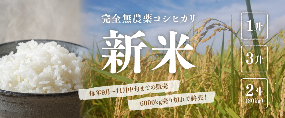 無農薬 有機肥料米の限定販売