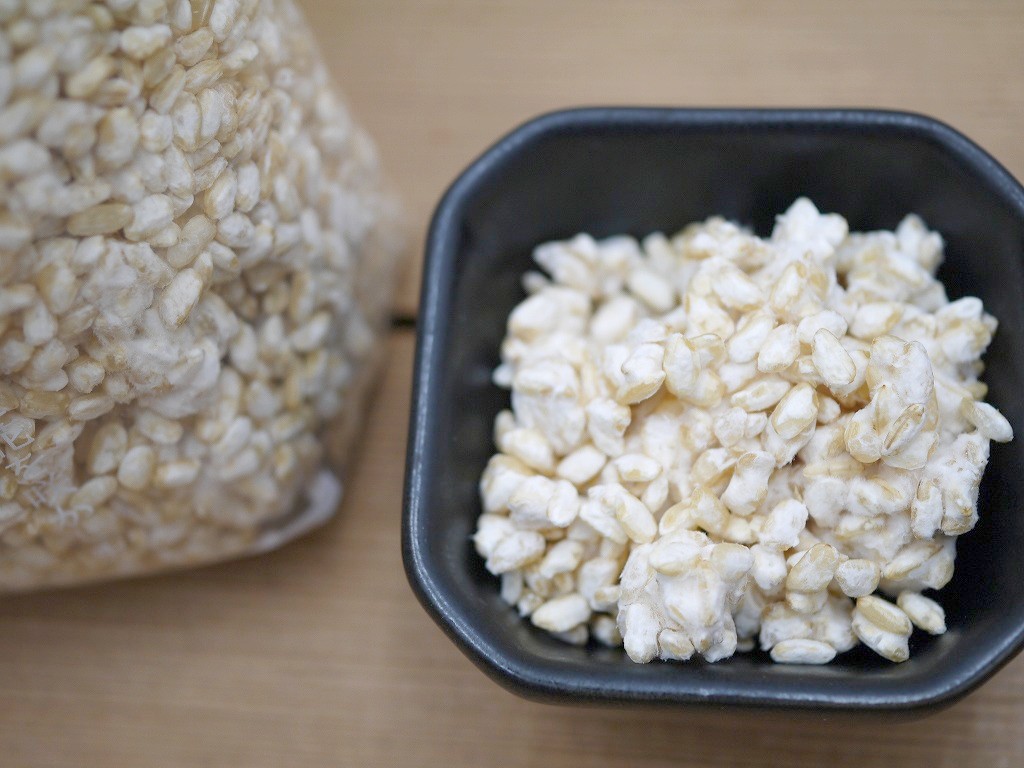 特別栽培米 山形産 つや姫 玄米麹 生麹 艶玄（5kg×2個）