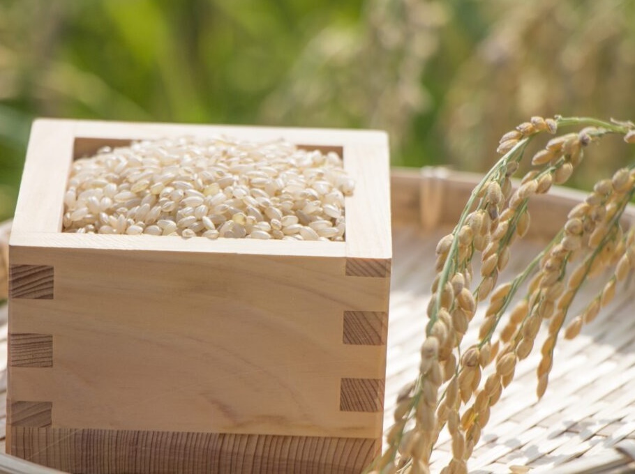 特別栽培米 山形県産 つや姫 玄米（30kg）