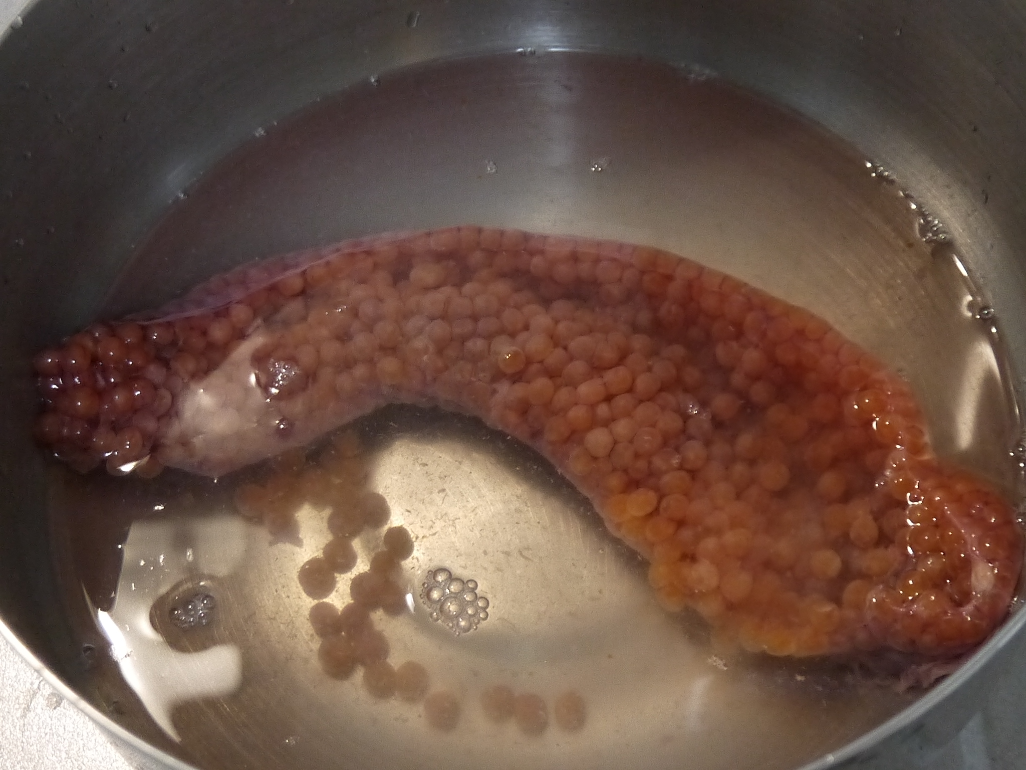 いくらの塩麹づけ
