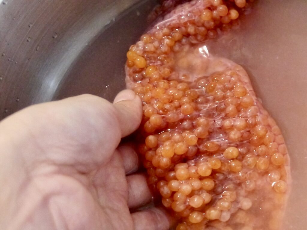 いくらの塩麹づけ