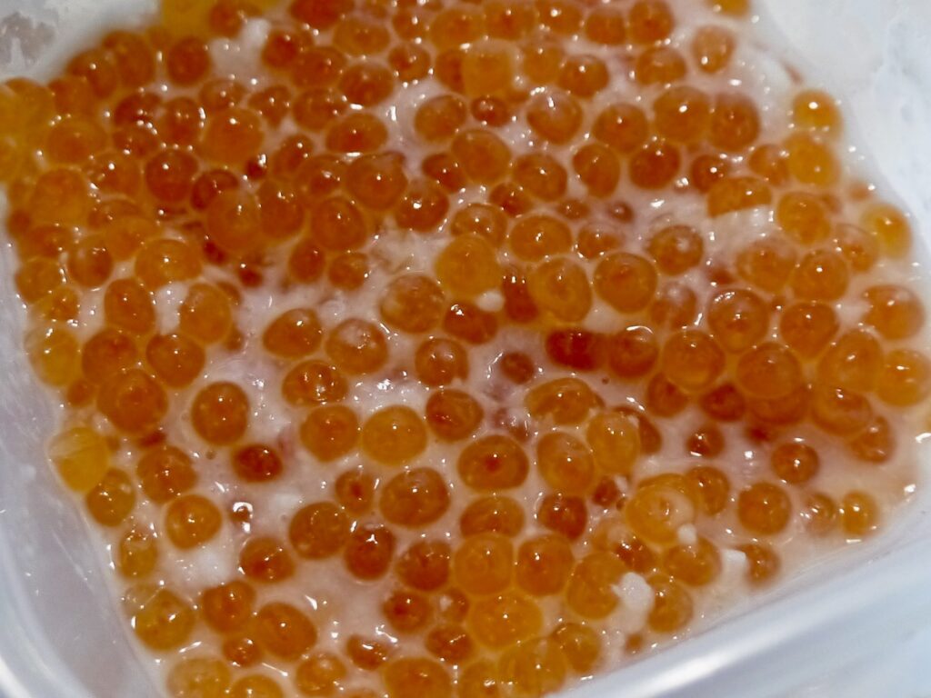 いくらの塩麹づけ