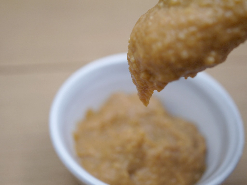 【訳あり】とろり やわらかめ 漬け込み用 酒粕 20kg 練り粕 送料無料