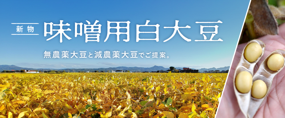 R7年新物 味噌用大豆が入荷しました！
