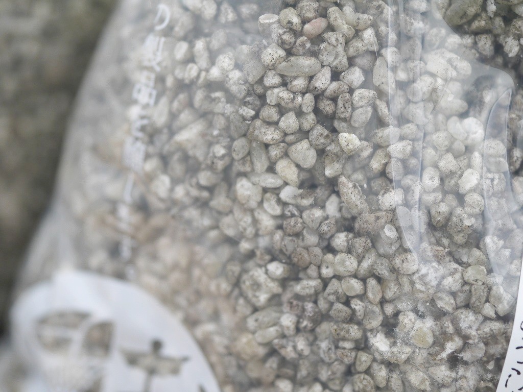 【訳あり】黒麹 生麹（1kg×3）