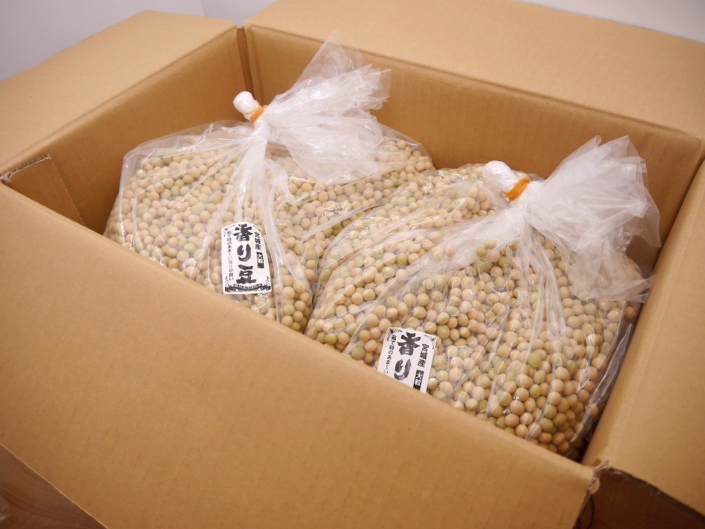 香り豆 大粒（5kg×2）青大豆